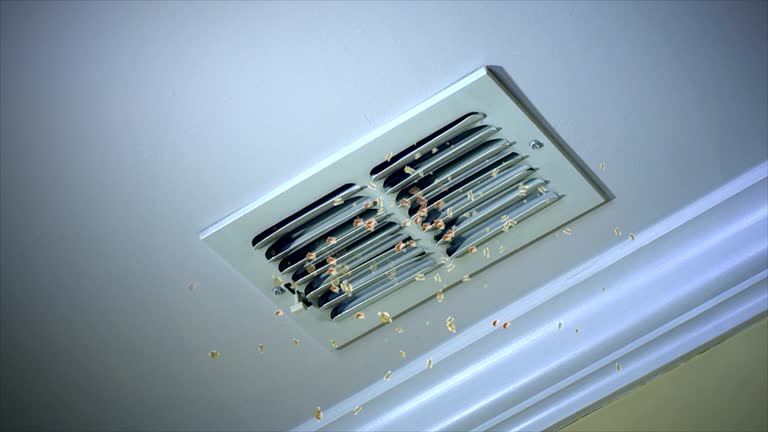 Best Affordable Duct Cleaning Services  in Rathdrum, ID